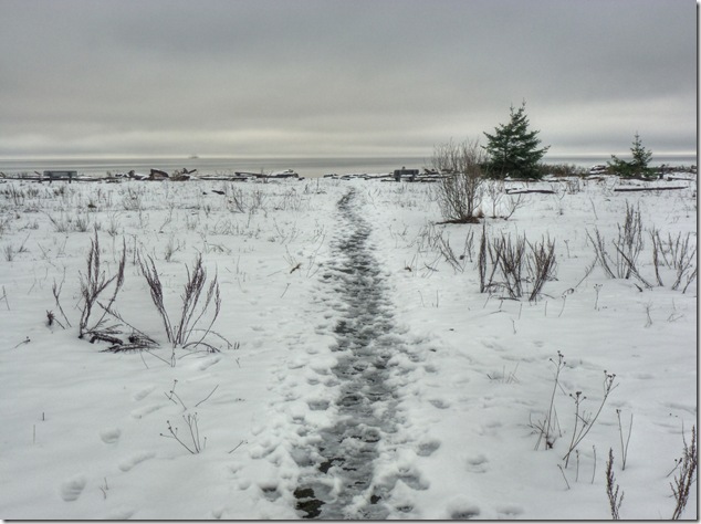 winter,snow,Kin Beach,Georgia Strait,Provincial Park,Comx