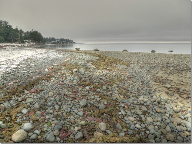winter,snow,Kin Beach,Georgia Strait,Provincial Park,Comx