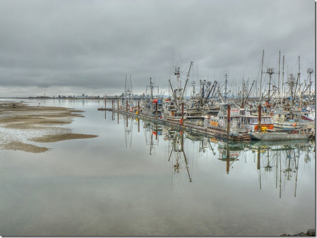 low tide,fishing boats,Comox,Comox Marina
