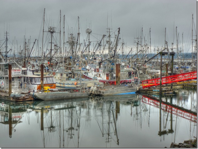 low tide,fishing boats,Comox,Comox Marina