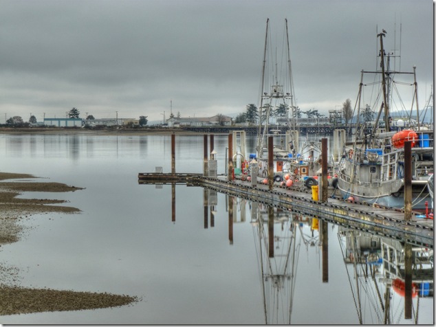 low tide,fishing boats,Comox,Comox Marina