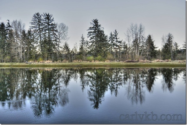 Courtenay,River Walk,Vancouver Island,Sunset