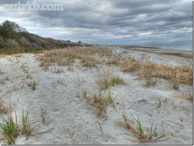 dunes,beach,Cape Lazo,sand,nature