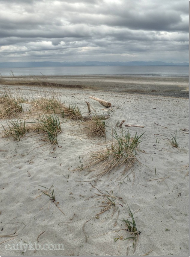 dunes,beach,Cape Lazo,sand,nature