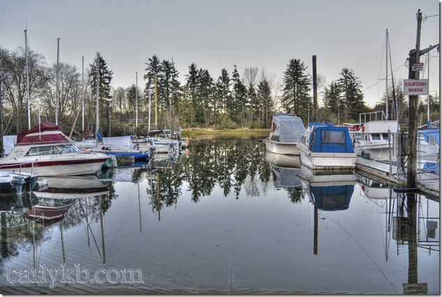 Courtenay,Courtenay River,river,nature,sunset,Vancouver Island,panorama,courtenay air park,airport,Salish Sea Courtenay,Courtenay River,river,nature,sunset,Vancouver Island,panorama,courtenay air park,airport,Salish Sea