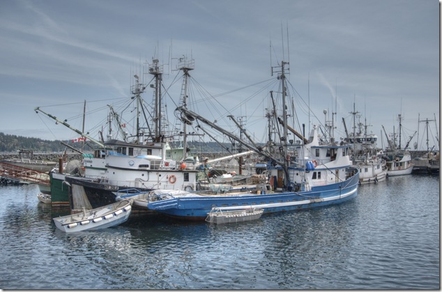 fish boats,ships,fishing,Campbell River