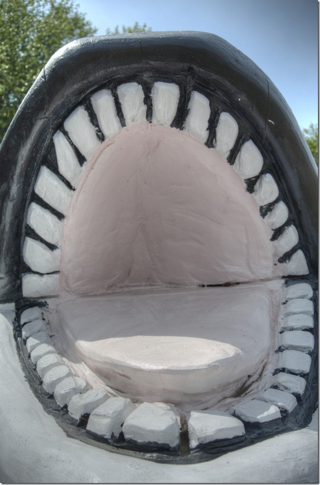 Campbell River,Orca,artistry,tourism