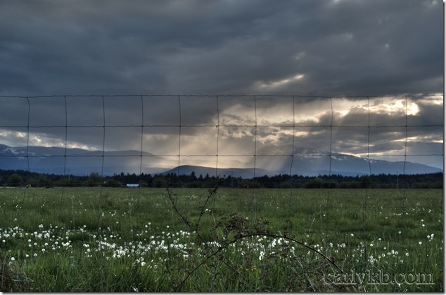 clouds,mountains,storm,Mt Washington,Comox Valley,nature