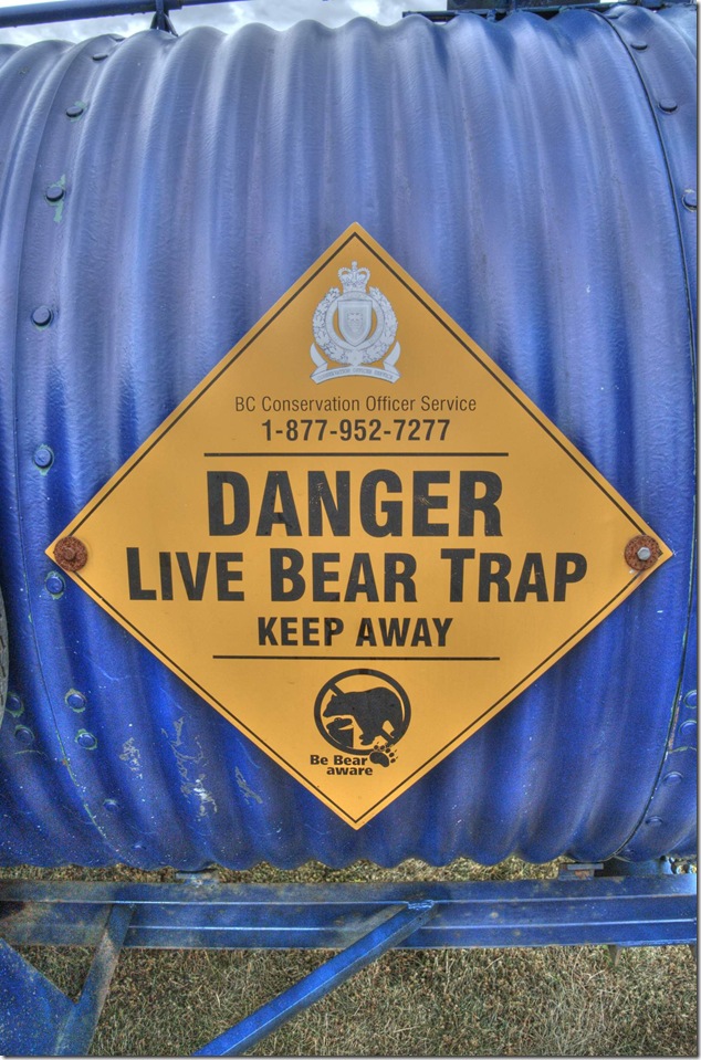 conservation,bears,bear traps,nature,wild life