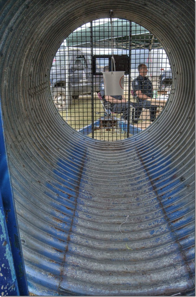 conservation,bears,bear traps,nature,wild life