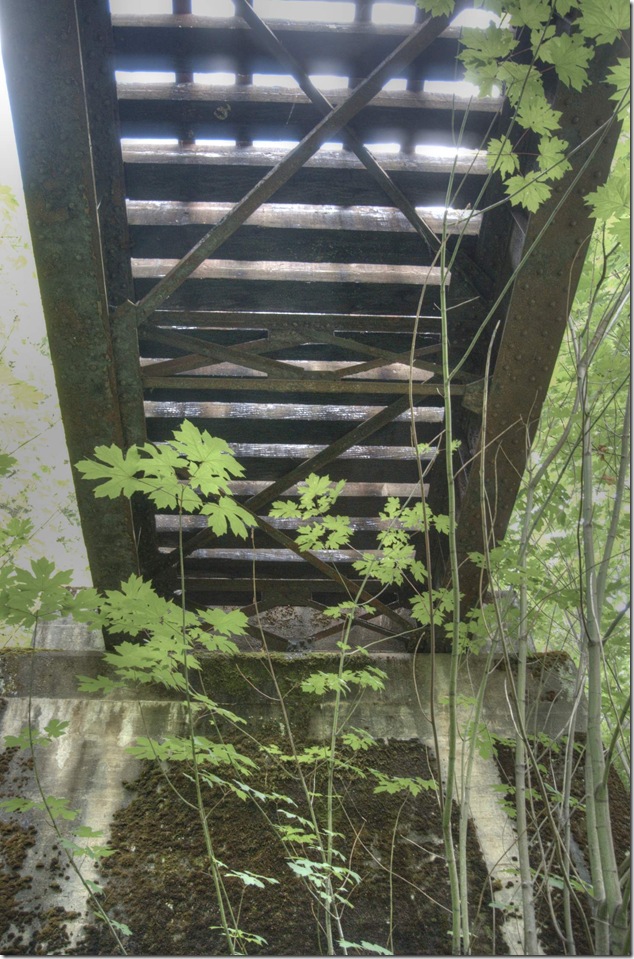 Mile 123.00,Victoria Subdivision,Coal Creek,trestle,bridge,E&N,Hastings Road