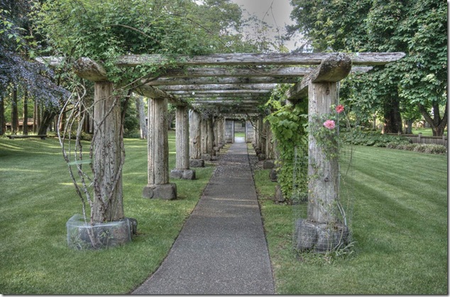 Filberg,set locations,Comox,nature