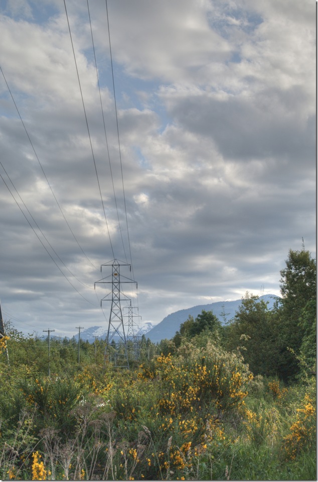 BC Hydro,power lines,Comox Glacier,Courtenay,Vancouver Island,nature