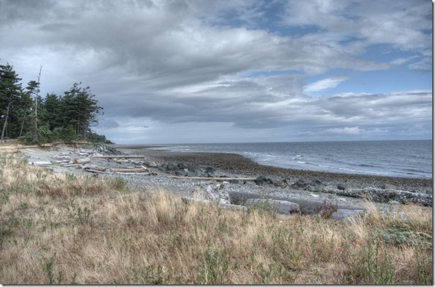 beach,ocean,nature,Cape Lazo,Georgia Strait