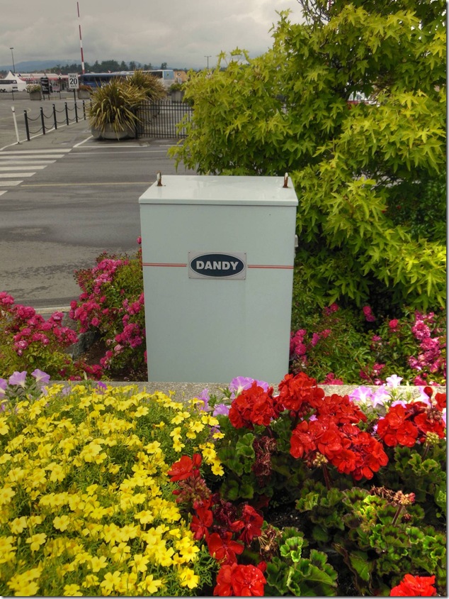 dandy,quaintrelle,Ogden Point,Victoria