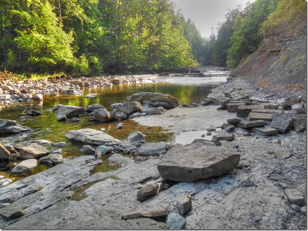 Piercy Road,Browns River,hiking,Puntledge River,BC Hydro,fossils