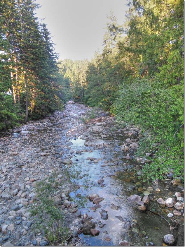 Browns River Bridge,Forbidden Plateau Road,COmox,Courtenay,river,Vancouver Island Images,Browns River trail