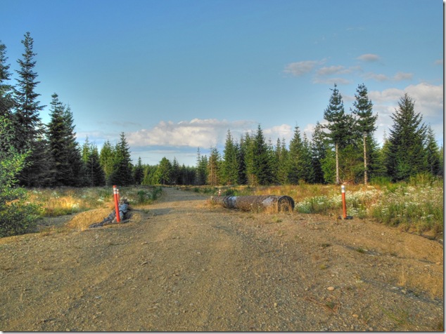 Duncan Bay Main Line,Forbidden Plateau,Puntledge River,Browns River Falls,Comox Valley,Island Images