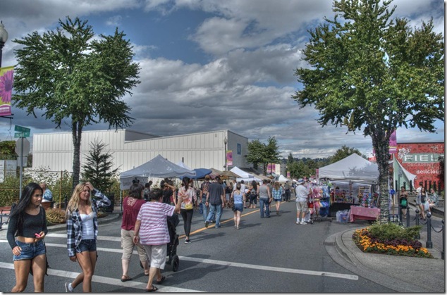 Courtenay,market day,5th street,MARS,Samba Du Soleil,Mountainaire Avian Rescue Society