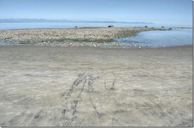 Bates Beach, Comox Valley, Dick Perrey, Georgia Straight, Perrey's Beach, Seal Bay,ocean,nature