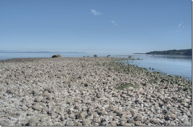 Bates Beach, Comox Valley, Dick Perrey, Georgia Straight, Perrey's Beach, Seal Bay,ocean,nature