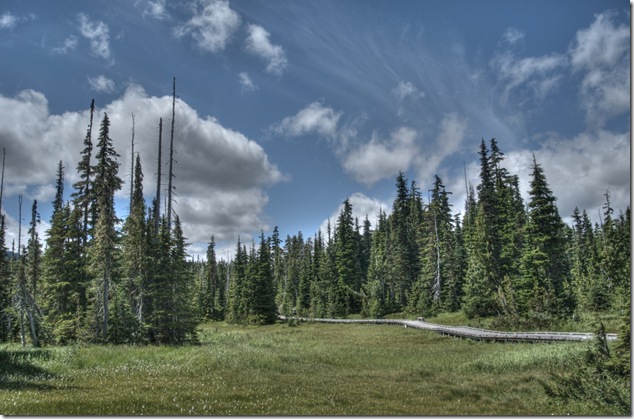 Strathcona Provincial Park,Mount Albert Edward,Vancouver Island Images,Paradise Meadows