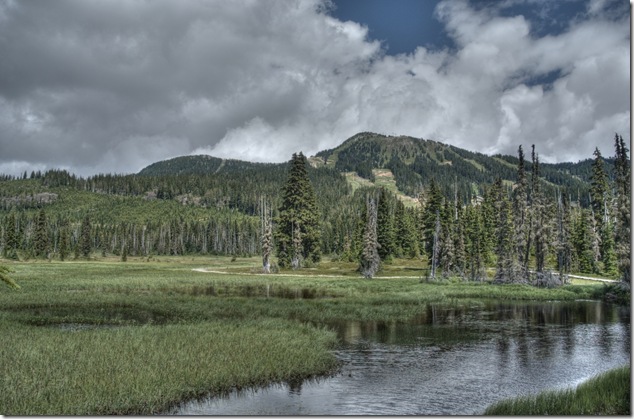Strathcona Provincial Park,Mount Albert Edward,Vancouver Island Images,Paradise Meadows