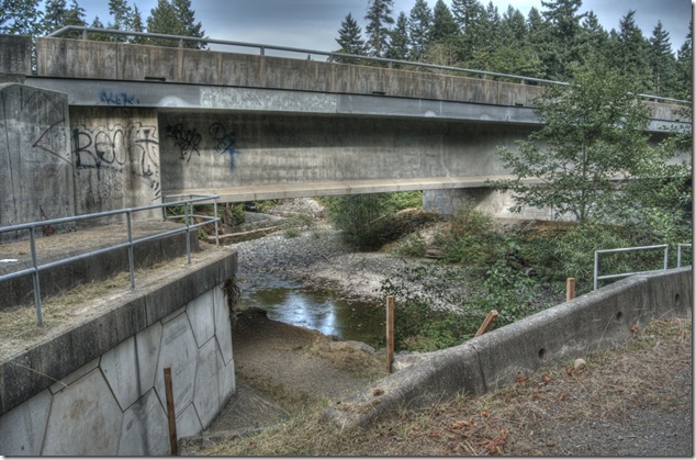 Rosewell Creek Provincial Park,logging,nature,Vancouver Island Images,waterfall