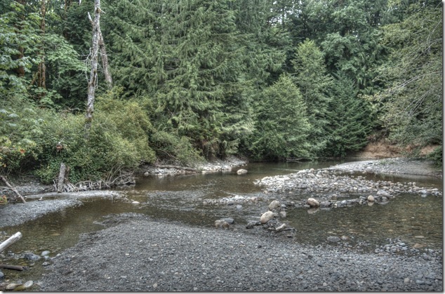 Rosewell Creek Provincial Park,logging,nature,Vancouver Island Images,waterfall