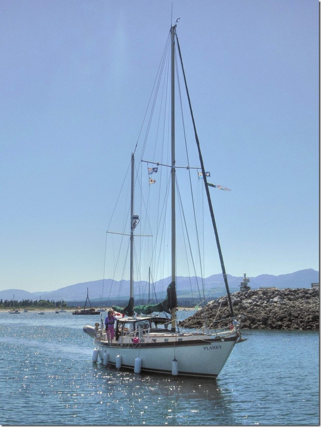 sailing,ships,Comox Marina,Planet
