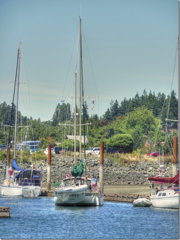 sailing,ships,Comox Marina,Planet