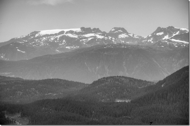 Strathcona Provincial Park,Mount Albert Edward,Mount  Washington,Vancouver Island Images