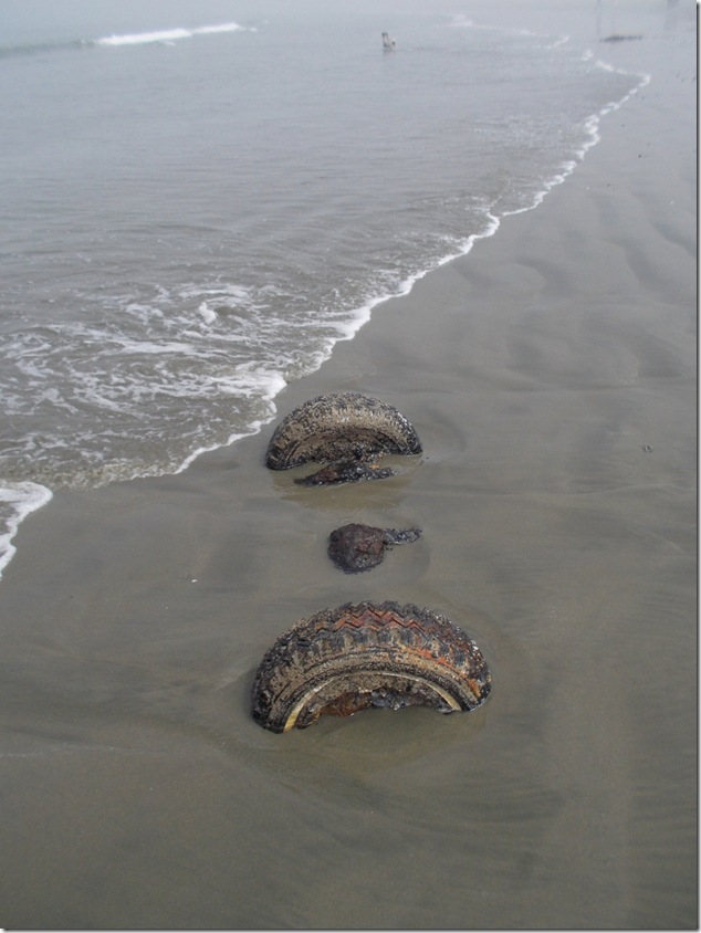 Frank Island,Chesterman Beach,Tofino,Highway 4,tombolo 