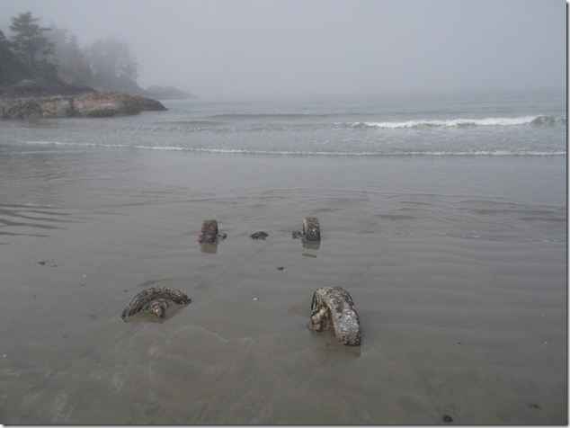 Frank Island,Chesterman Beach,Tofino,Highway 4,tombolo 