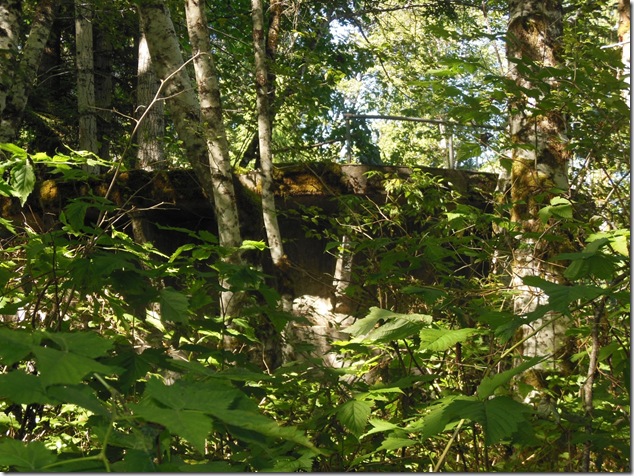 BC Hydro, BC Power Commission, Bevan, Canadian Collieries, Comox Lake, Courtenay water supply, history, pipeline, Puntledge BC Hydro, BC Power Commission, Bevan, Canadian Collieries, Comox Lake, Courtenay water supply, history, pipeline, Puntledge