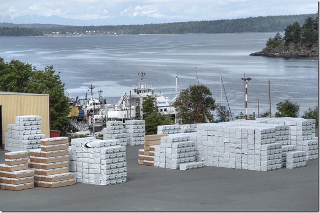 Chemainus,Murals,Highway 19,Vanocuver Island,lumber,mill,Western Forest Products,Macmillan Bloedel