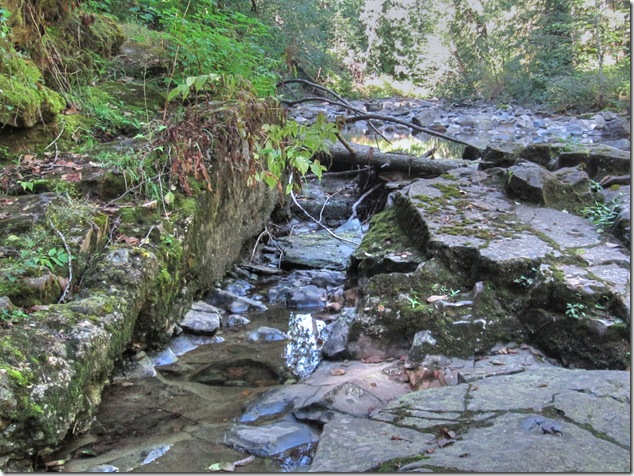  Browns River Dam,Courtenay water supply,history,rivers,hiking