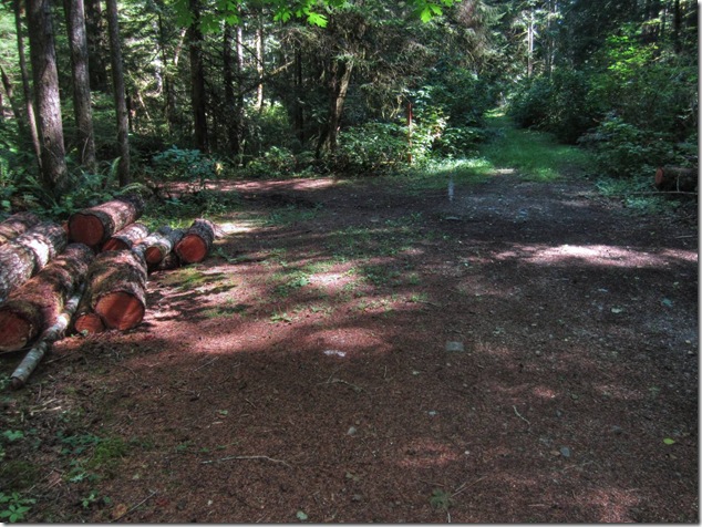 Browns River, Courtenay, Courtenay water supply, history, pipeline,abandoned