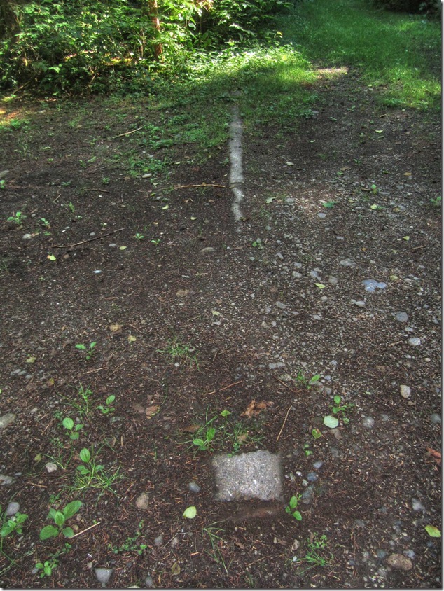 Browns River, Courtenay, Courtenay water supply, history, pipeline,abandoned