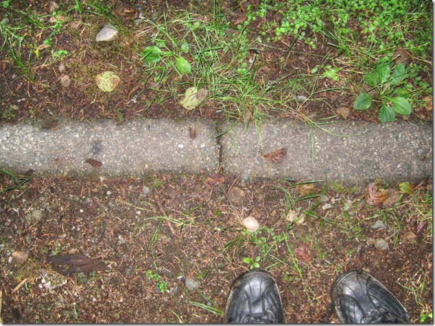 Browns River, Courtenay, Courtenay water supply, history, pipeline,abandoned