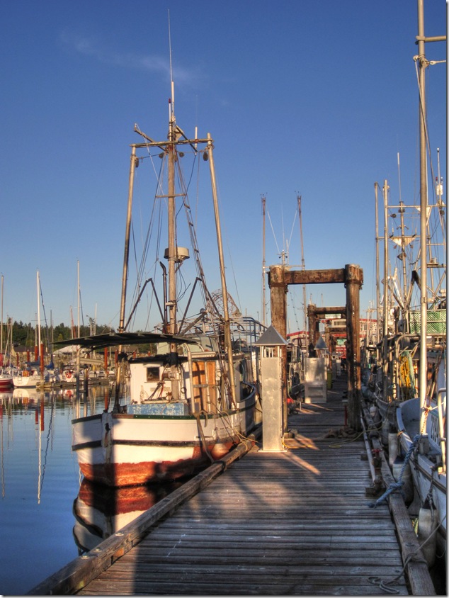 Comx marina,fish boats