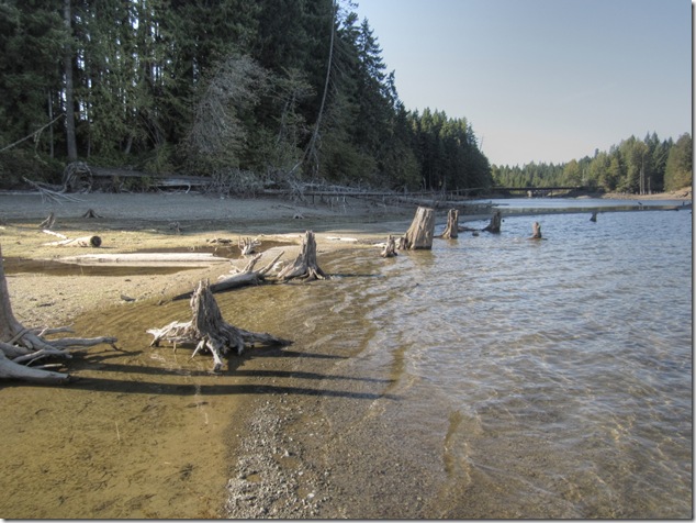 Comox Lake, logging, nature,stumps,hydroelectric,low water level,history