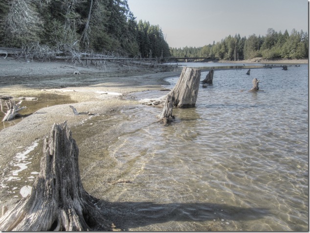 Comox Lake, logging, nature,stumps,hydroelectric,low water level,history