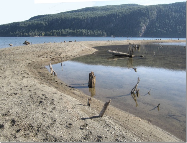 Comox Lake, logging, nature,stumps,hydroelectric,low water level,history