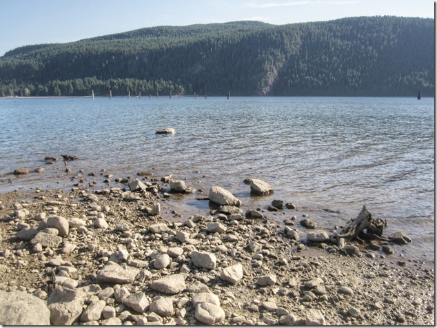 Comox Lake, logging, nature,stumps,hydroelectric,low water level,history