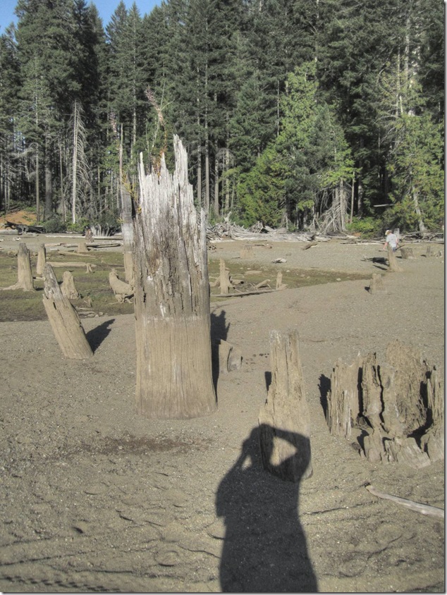 Comox Lake,water level,nature
