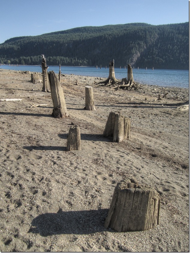 Comox Lake, logging, nature,stumps,hydroelectric,low water level,history