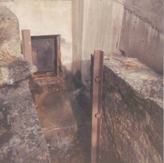 Browns River Dam,Courtenay,history