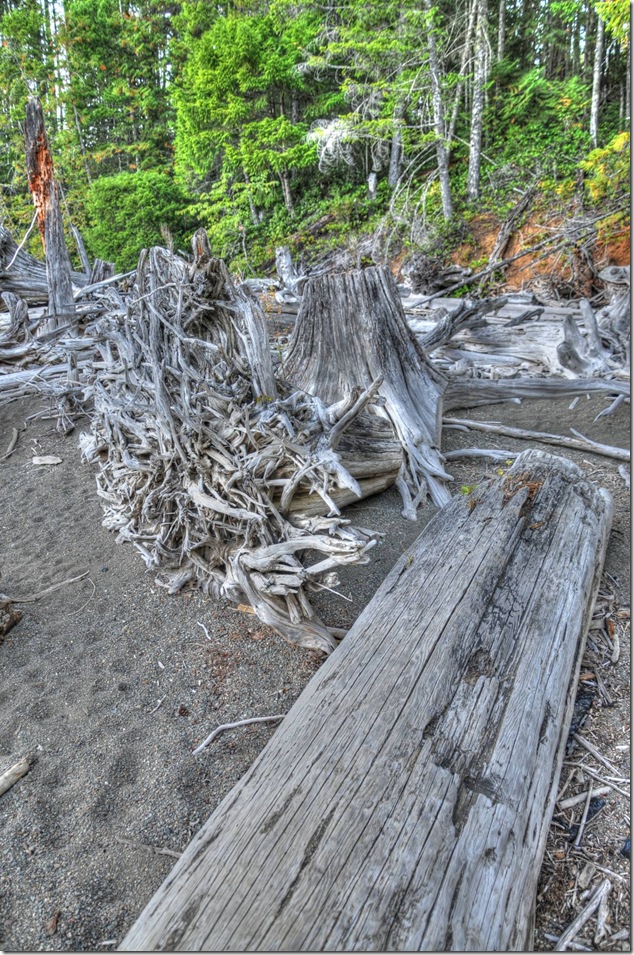 Comox Lake,Lake,logging,stumps,Vancouver Island Images