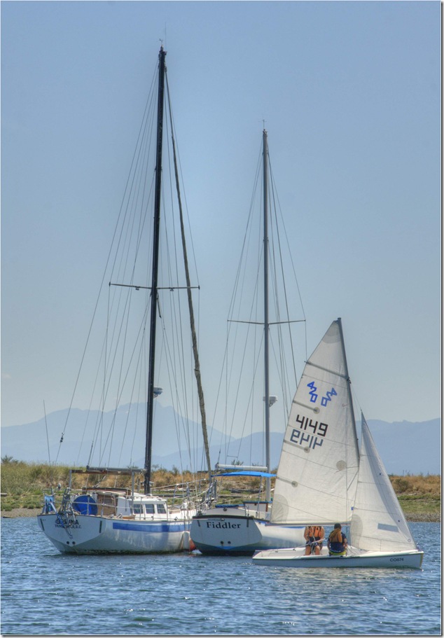 Jessina,Fiddler,Comox,Goose Spit,Sailing,Vancouver Island Images